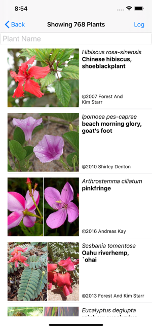 Hawaii Plants(圖3)-速報App