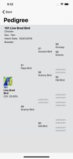 birdBreeder screenshot 3