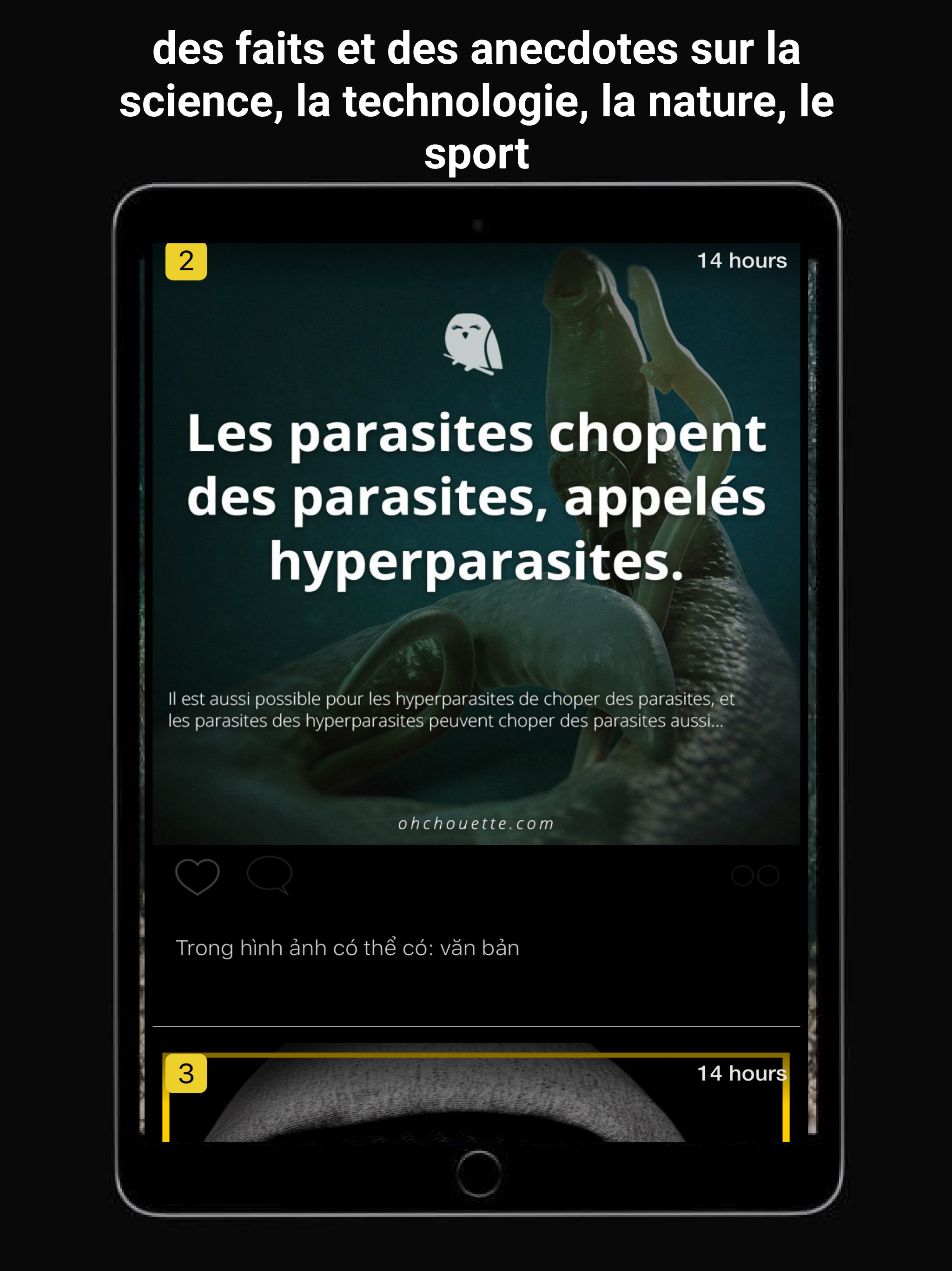 Le Saviez Vous Blog screenshot 8