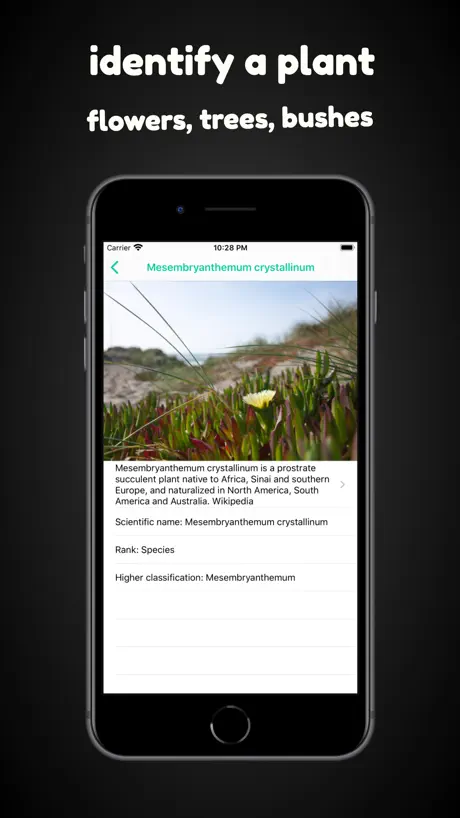 Sandvik Remote Support