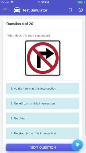 GA DMV Test screenshot 1