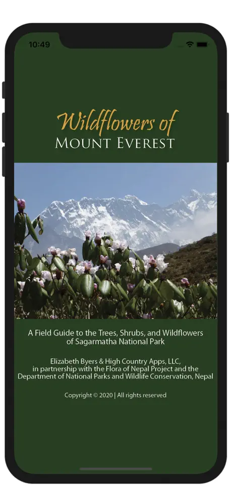 Wildflowers of Mount Everest