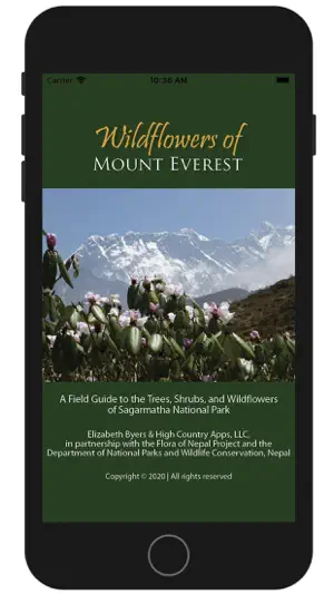 Wildflowers of Mount Everest screenshot 1