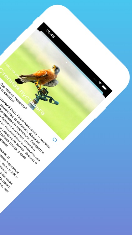 Птицы Красной Книги России