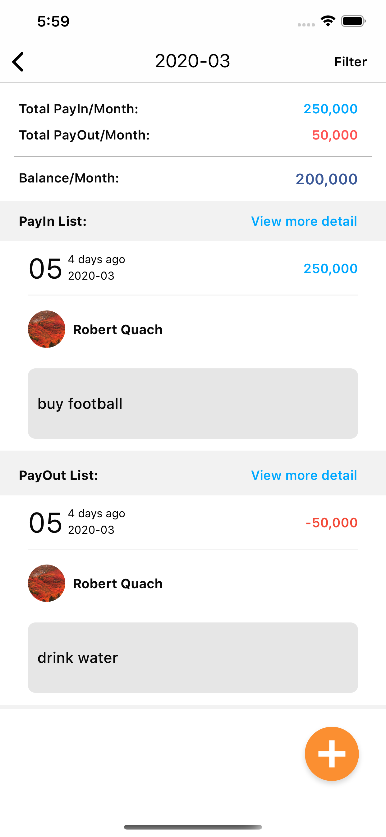 Sport Team Expenditure Control screenshot 4