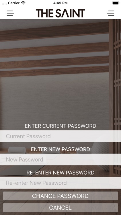 The Saint screenshot-7