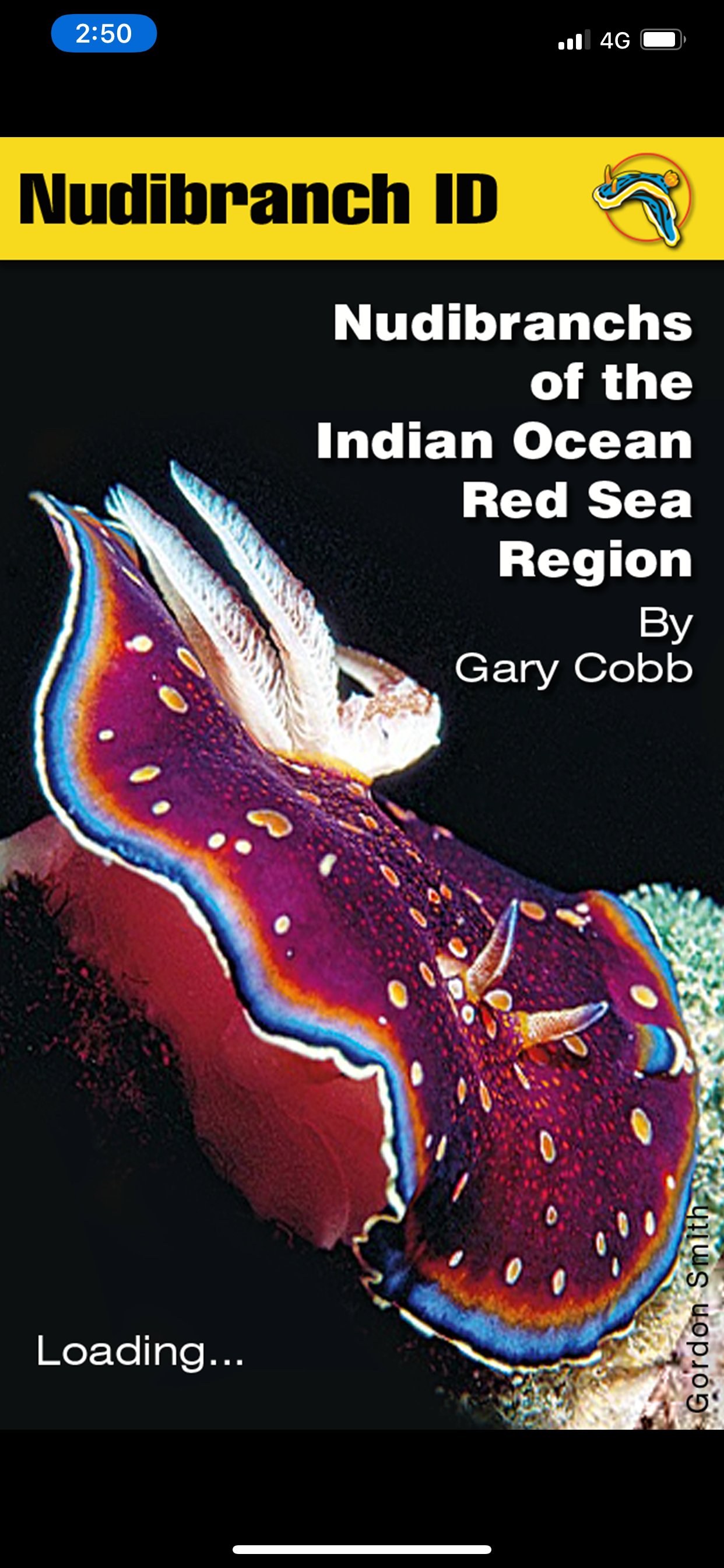 Nudibranch ID Indian Ocean