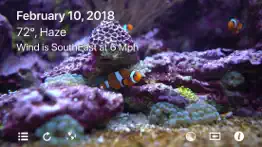 aquarium 4k - ultra hd video iphone resimleri 4