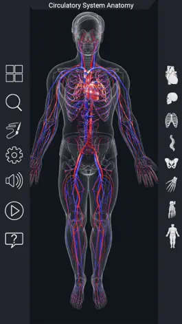 Game screenshot My Circulatory System Anatomy hack