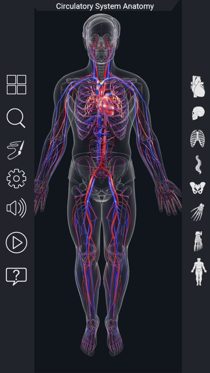 My Circulatory System Anatomy by Santosh Chavan