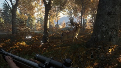 screenshot of HUNTER 2019 4