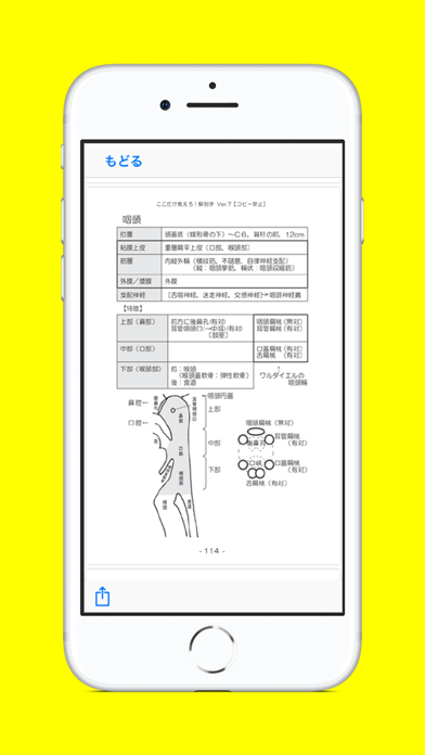 解剖学NOTE 第11版 screenshot 4
