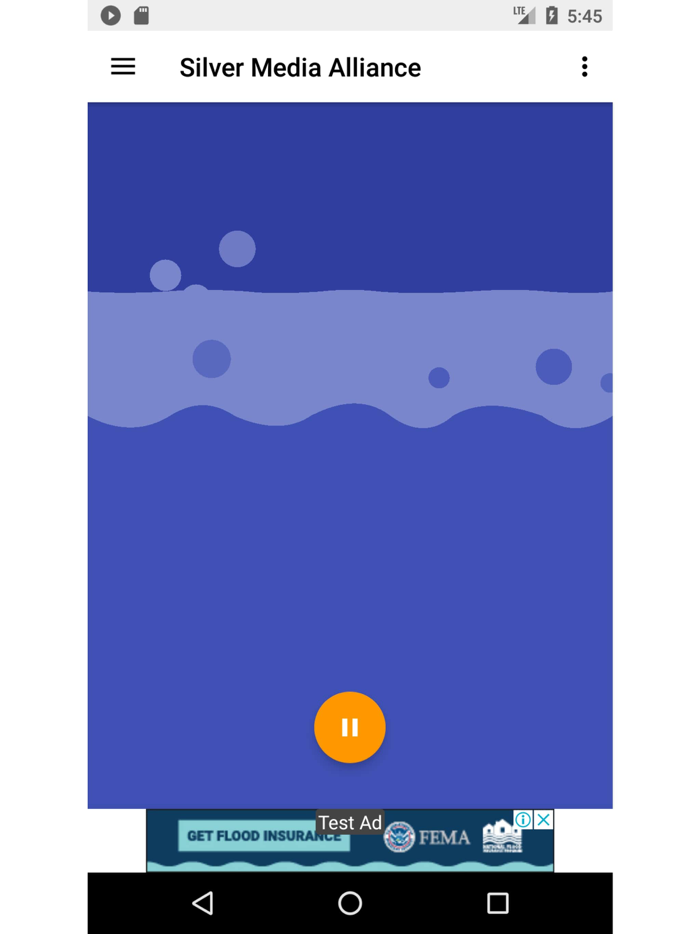 Silver Media Alliance