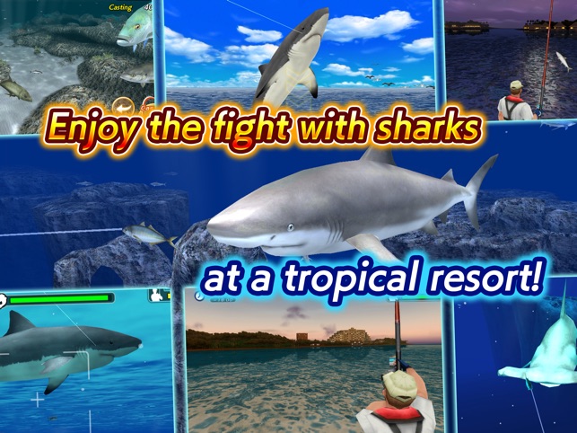 Wild Shark Fishing on the App Store