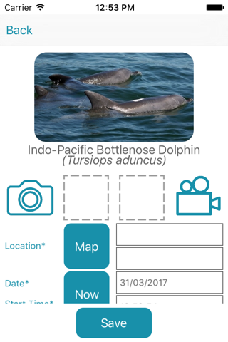 Dolphin Watch screenshot 3