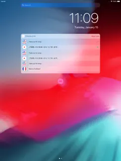ITranslator Widget 2 iPad image 2