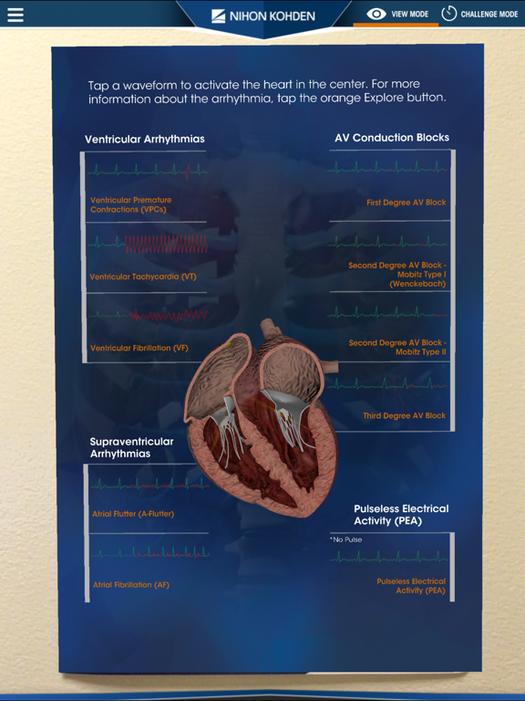 NK Dimensions AR iPad screenshot 3 - Medical app
