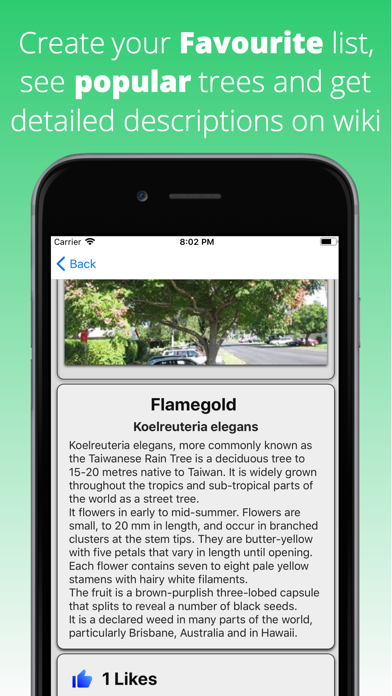 Tree Dictionary Screenshot