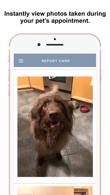 Fetch Fido screenshot-4