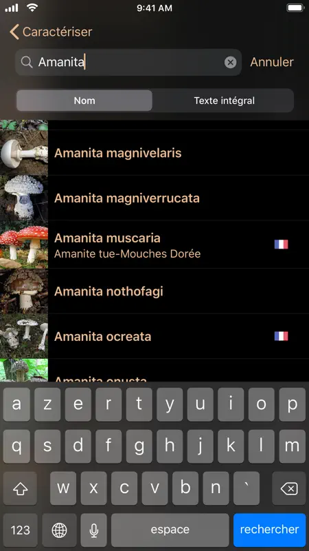 Champignons screenshot 3 of 5
