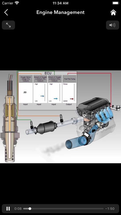 East Coast Customs screenshot-3