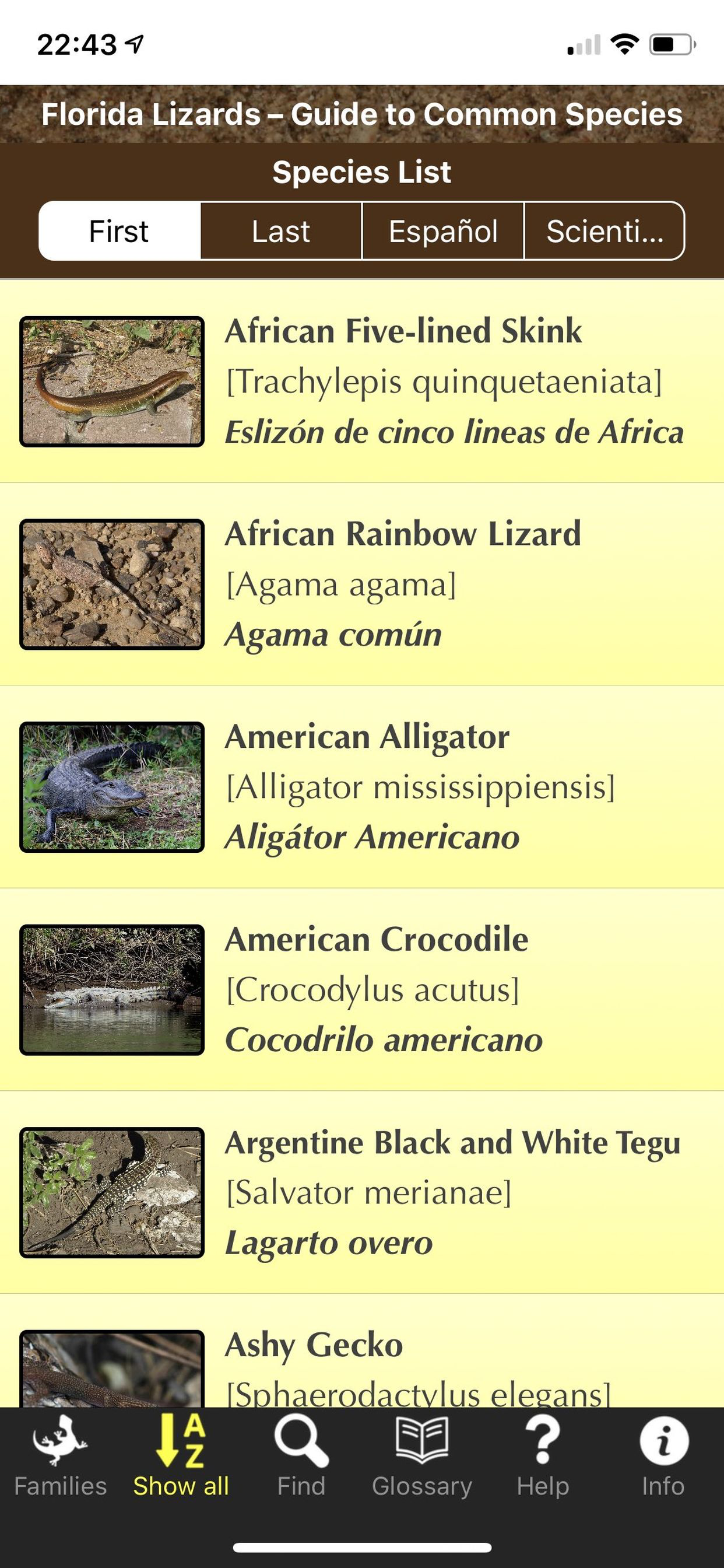 Florida Lizards