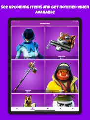 shop of the day for fortnite ipad bildschirmfoto 3