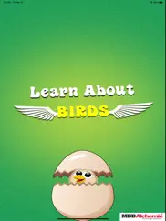 learn about birds ipad images 1