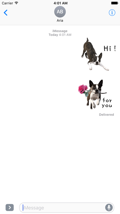 Screenshot #1 pour Iggy - Animated Boston Terrier
