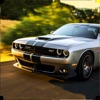 Icon Muscle Driving Simulator