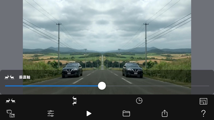 Symmetry Video Camera screenshot-3