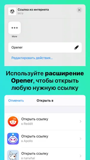 Скриншот Opener на iPhone 2