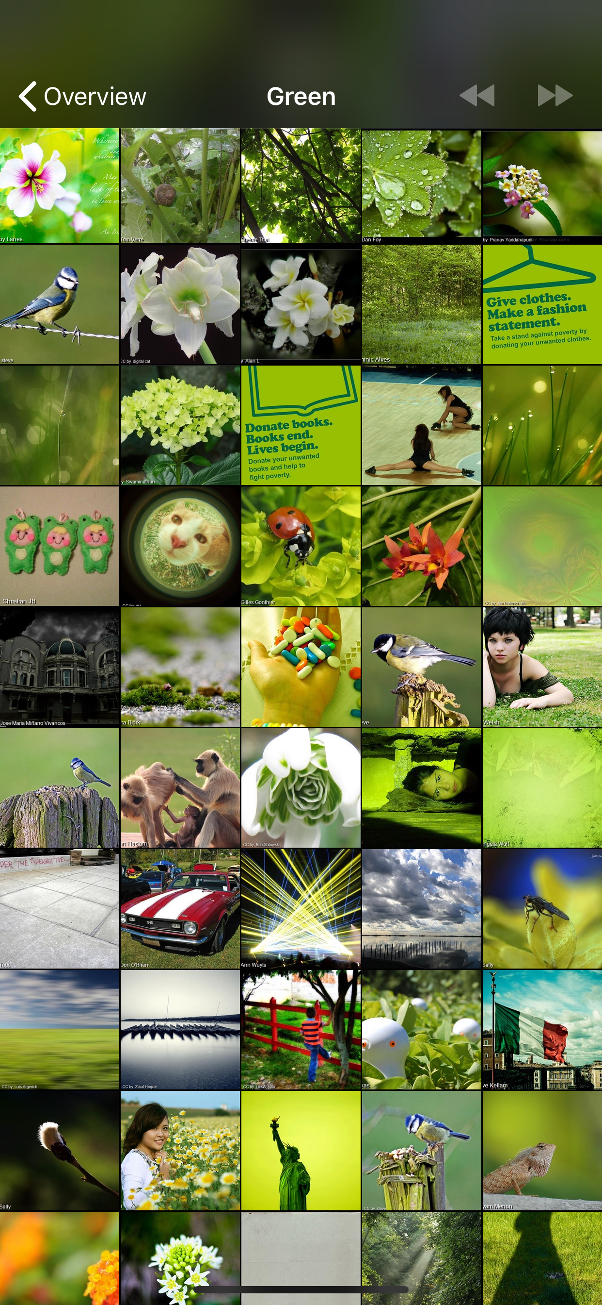 Deep Photo Analyzer with AI