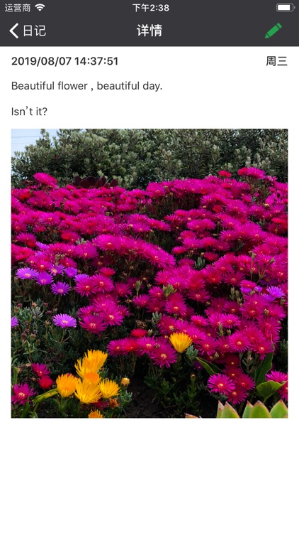 Little Tags screenshot-4