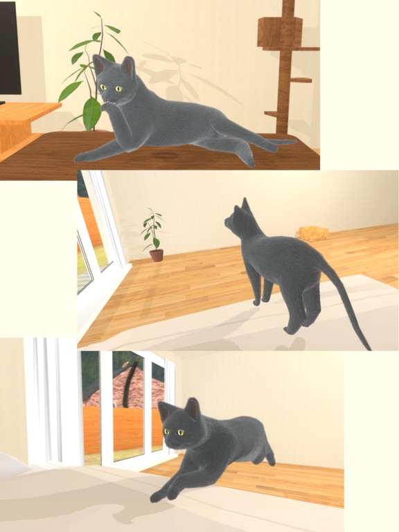 Download Anibuddie 育成するリアル猫ゲーム Android App Updated 21