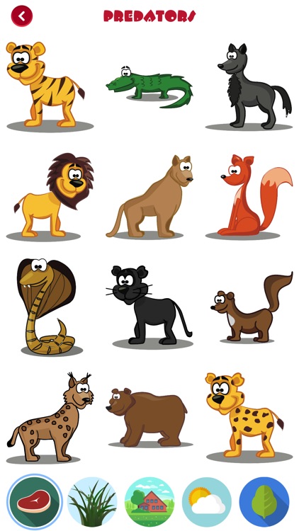 Smarty. Animals. Lite.