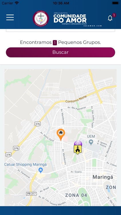 IBCAMOR screenshot-6