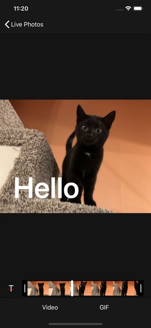 Live Photo Gif Video