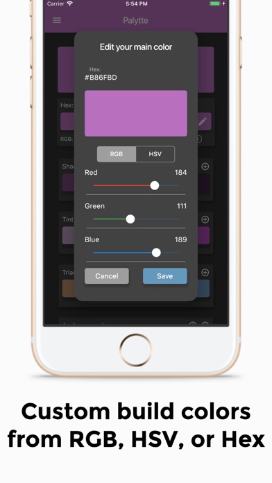 Palytte iPhone screenshot 3 - Productivity app