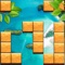 Are you a fan of Block Puzzle Games