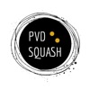PVD Squash icon