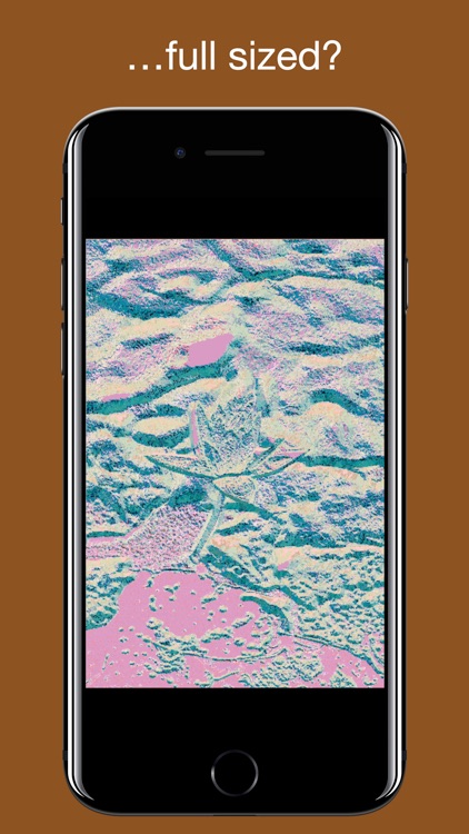 Sandstorm - Photo Effect screenshot-3