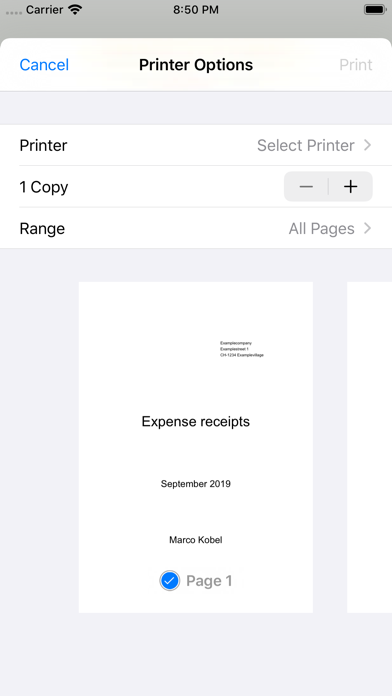 Expense receipts Screenshot