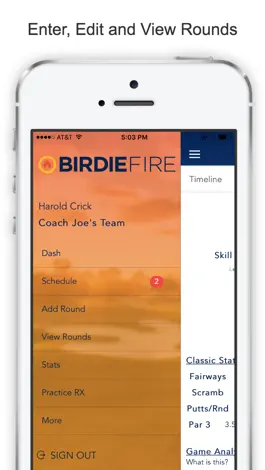 Game screenshot BirdieFire Stats and Scoring apk