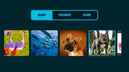 Game screenshot Puzzle Night on TV apk