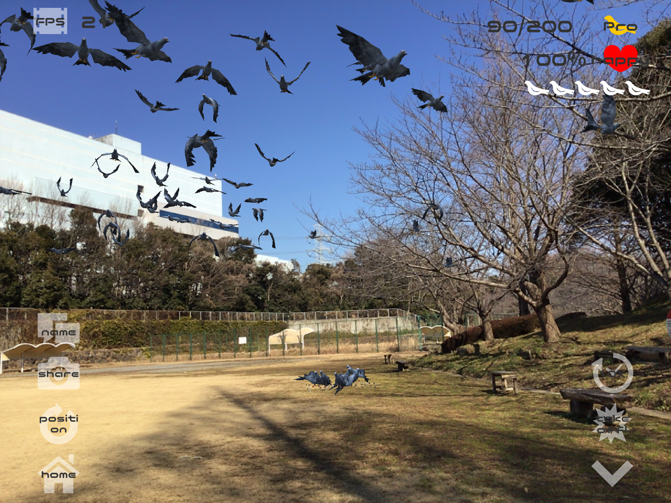 Anywhere Pigeon AR