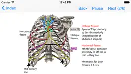 Game screenshot Anatomy Topics in Focus apk