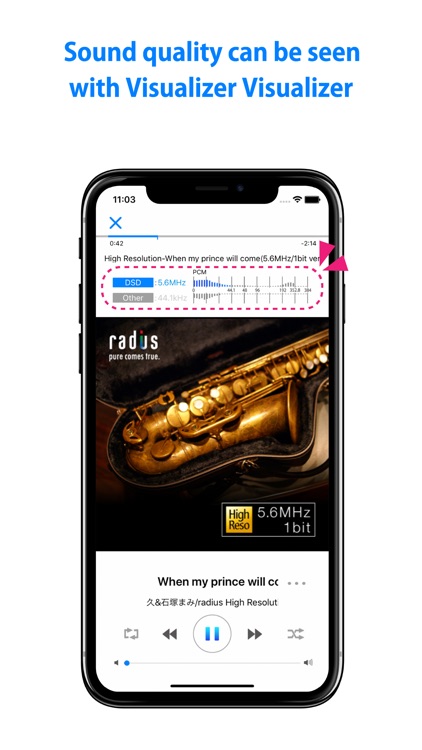 Hi-Res music player-NePLAYER