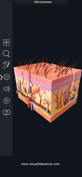 Game screenshot My Skin Anatomy apk
