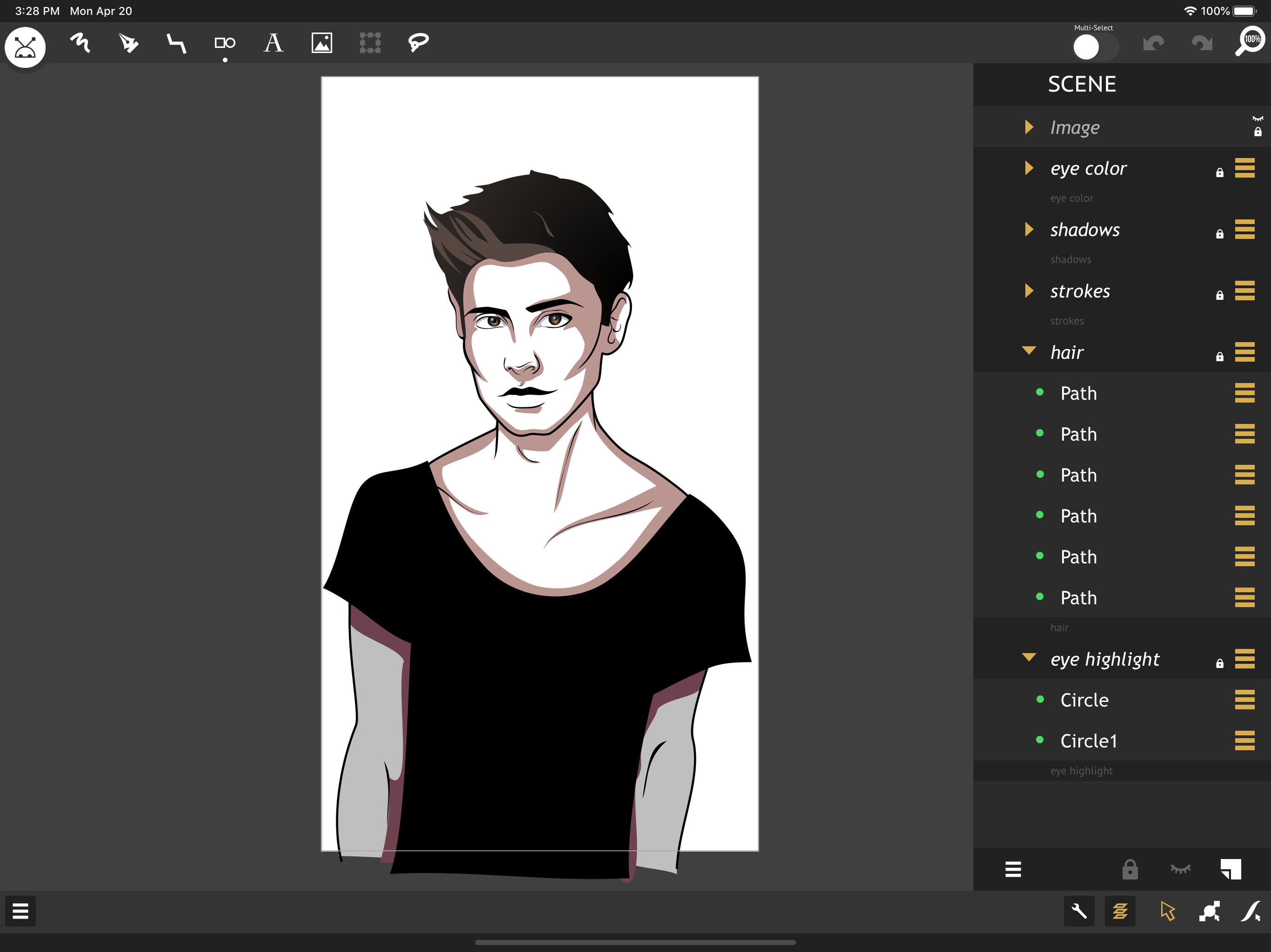 miniDraw 2 Starter: Vector Art
